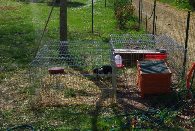 Super enclos pour lapin