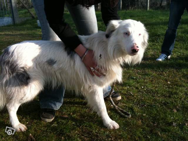 Histoire bien triste de la bêtise humaine