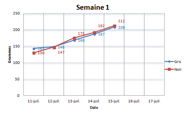 Mon chaton prend 20g par jour, est-ce de trop ?