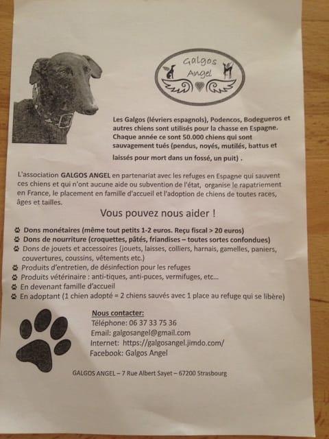 Aidez les lévriers espagnols !