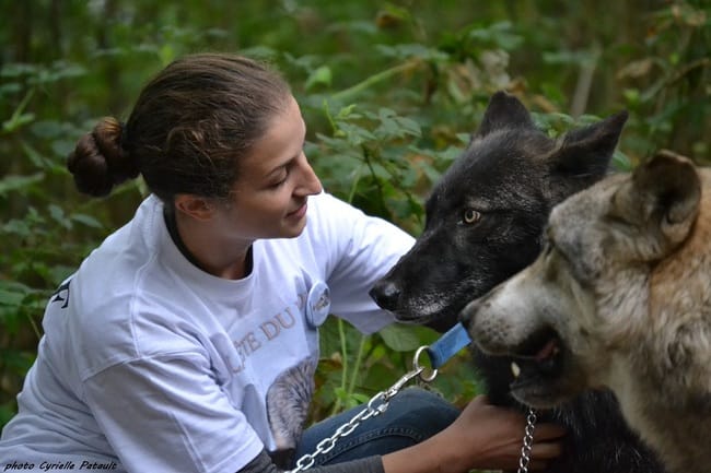 Fête du loup - Larchand, dimanche 13 sept 2015