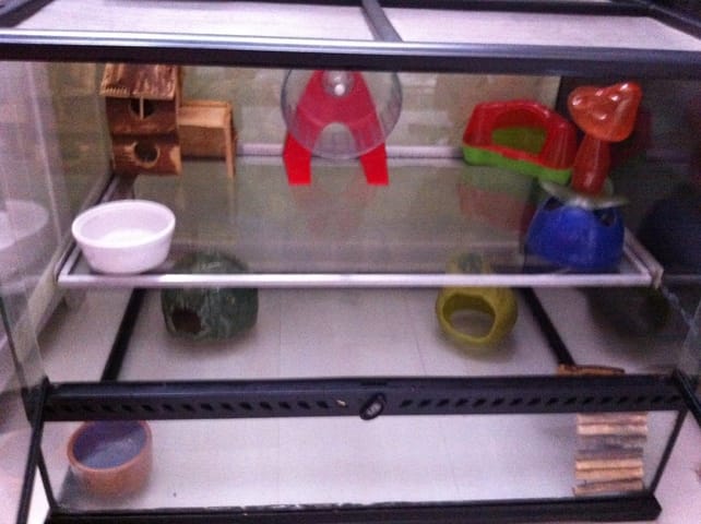 vend terrarium exo terra 45*45*60 equipe pour rongeur