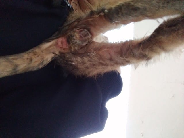 Irritation zone intime