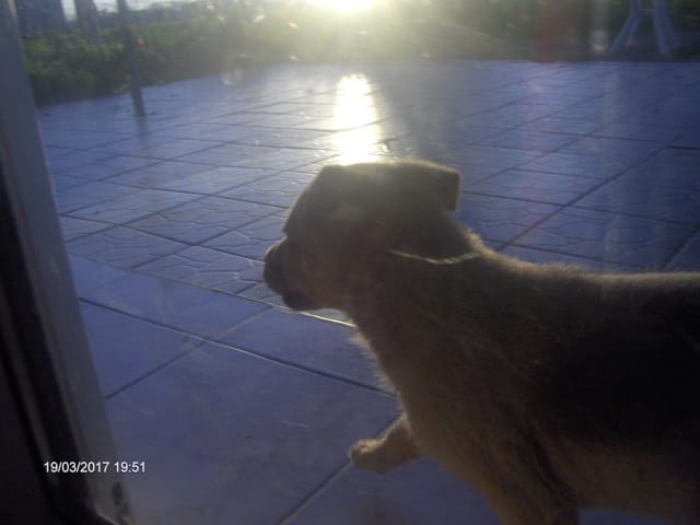 Repose en paix mon amour