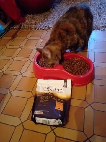 Test trnd nourriture true instinct