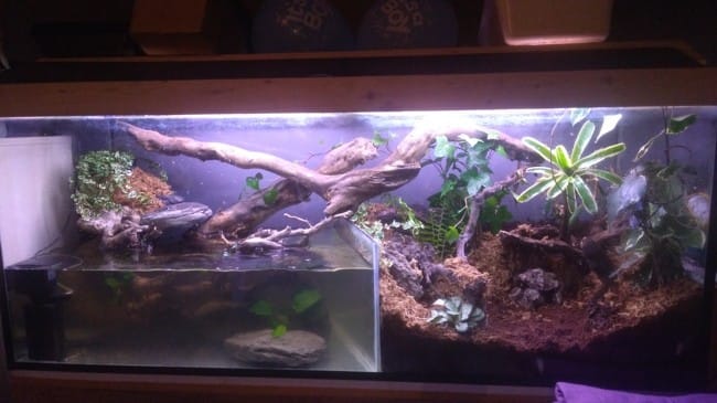 Gecko a crete est il possible ?