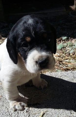 Nous l'avons choisi, à vos avis..