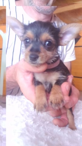 750gr à 2 mois donnez mois vos avis svp