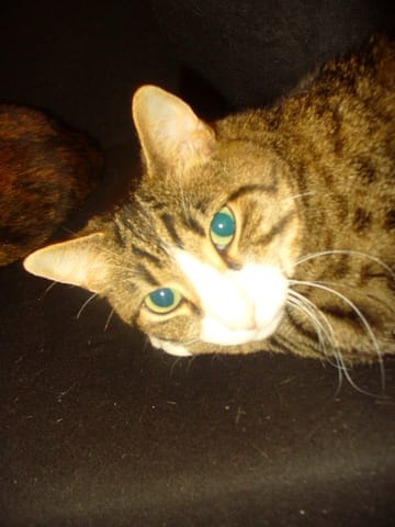 Manque, affection...?