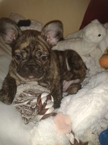 Problème aux yeux ?...!