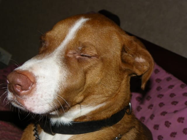 une bosse pas normale