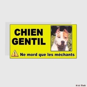 les chien catégorisé: image