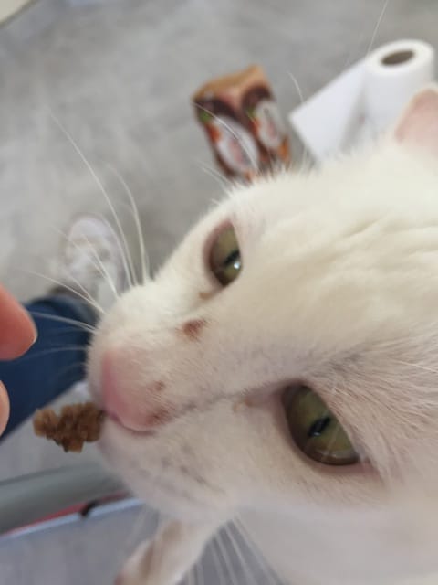 Acné du menton ou autre ?!