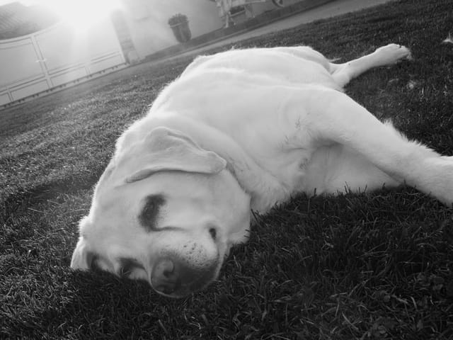 Praline...ma "fille"...