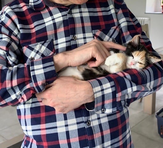 Shipy 3 mois aujourd'hui !