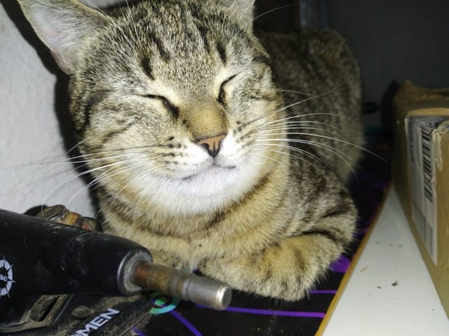 Boule sous la gueule au niveau du menton