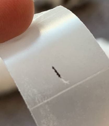 Oeuf de parasite inconnu sur mon chat