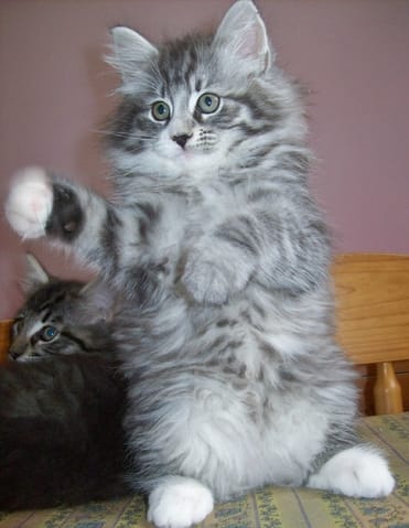Liam Et Luna