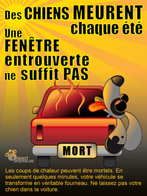 Ne faites pas cuire votre chien !