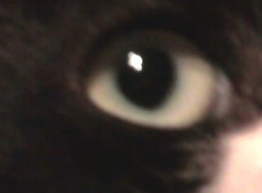 Chaussette est sur facebook!