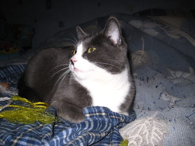 elle a failli Mourir!!!!