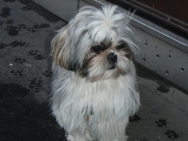 Reproduction : comment ça se passe ?