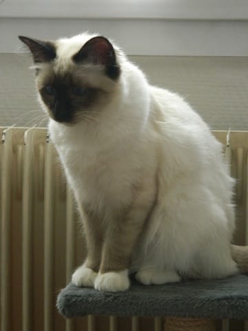 Hyti mon amour ^^