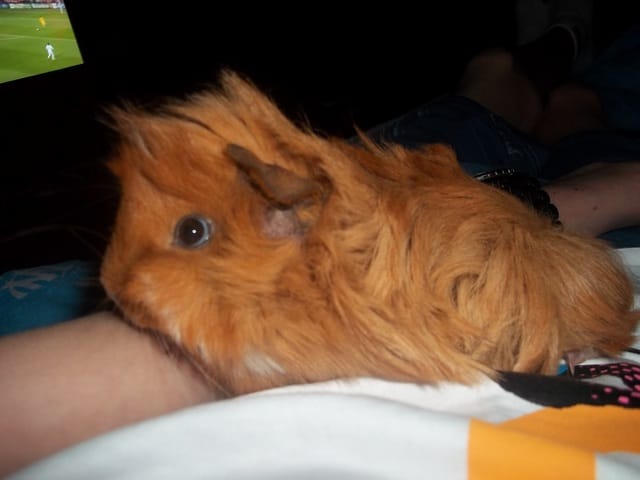 Photo + Une question .