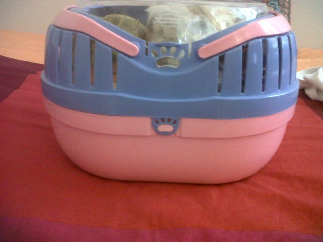 Transporter mon hamster freddy