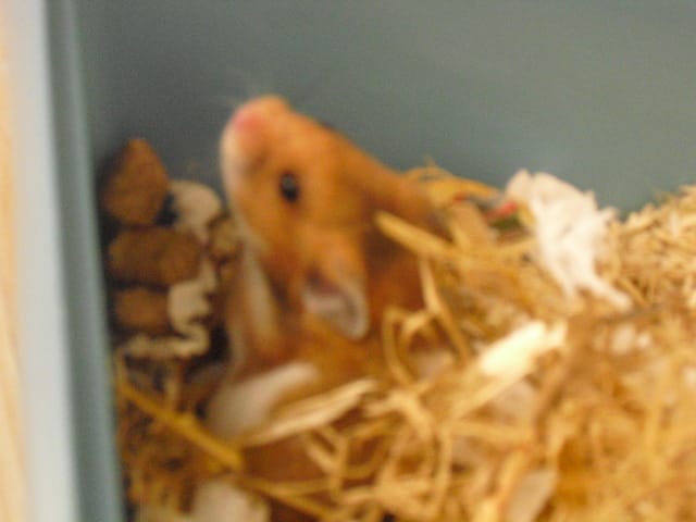 Photos : Freddy =)