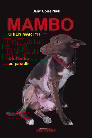 Nouvelles de Mambo ancien chien Martyr