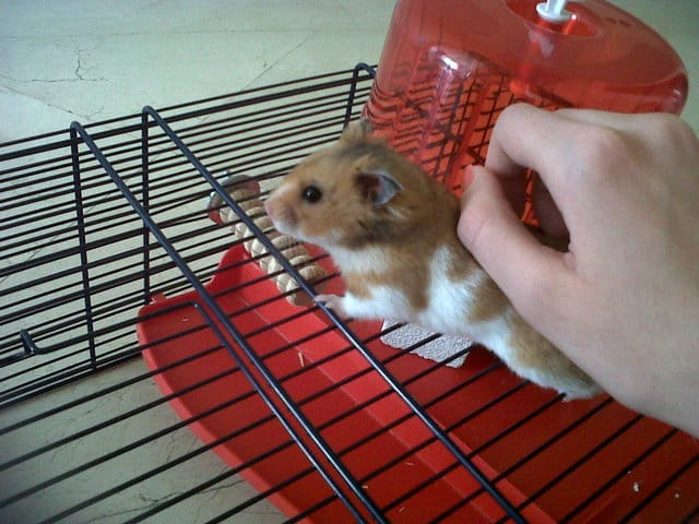 Nouvelles de freddy !