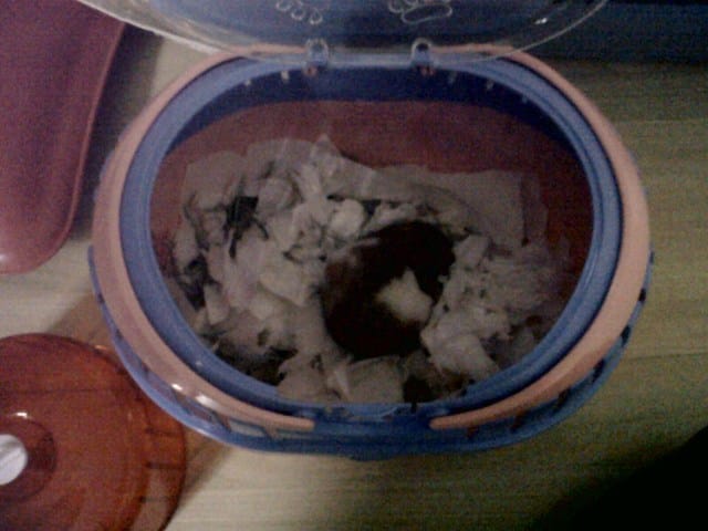 Apres la clinique veterinaire ..