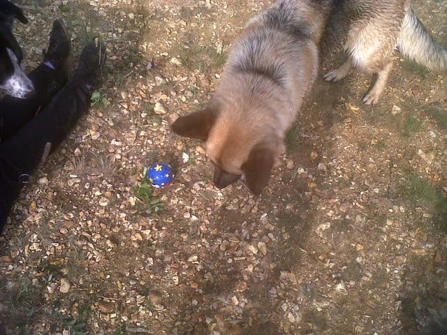 Photos du rassemblement Wamiz / septembre 2010