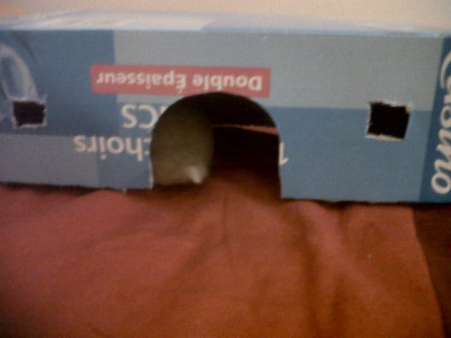 Idée petite maison en carton pour mon hamster