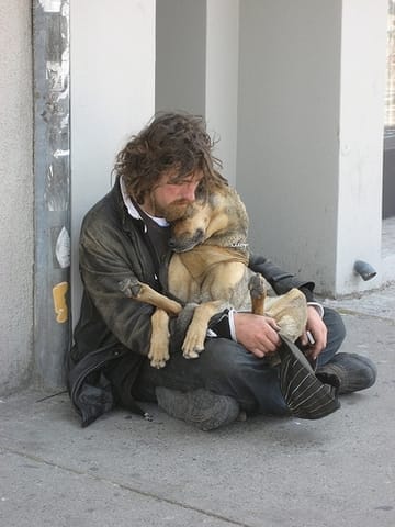 Parce-que le chien n'abandonne jamais son maître...