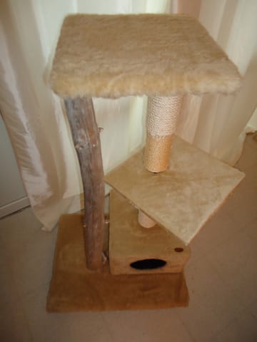 Bricolages pour vos minous