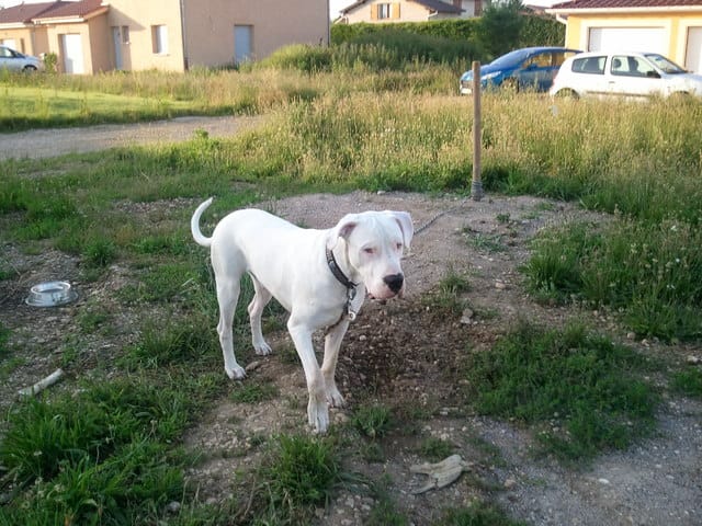 Problème de comportement