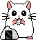 Recette drops maison - Pour Hamsters - Rats - Souris