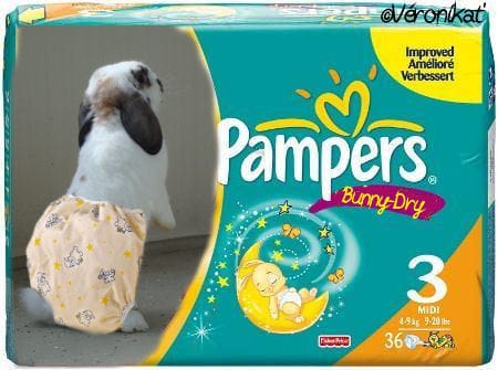 Pampers Bunny-Dry !