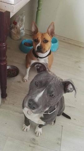 Presentation et mes staff :)