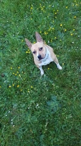 Poids des staffs avis ?