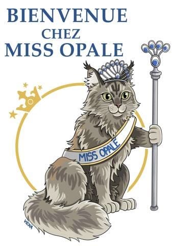 La vie de Miss Opale en BD