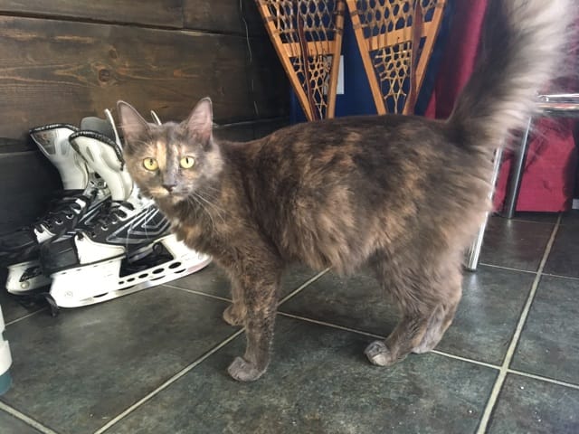 Enceinte ou pas? [PHOTOS]