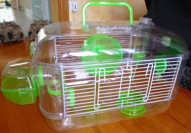 Cage de mon futur hamster !