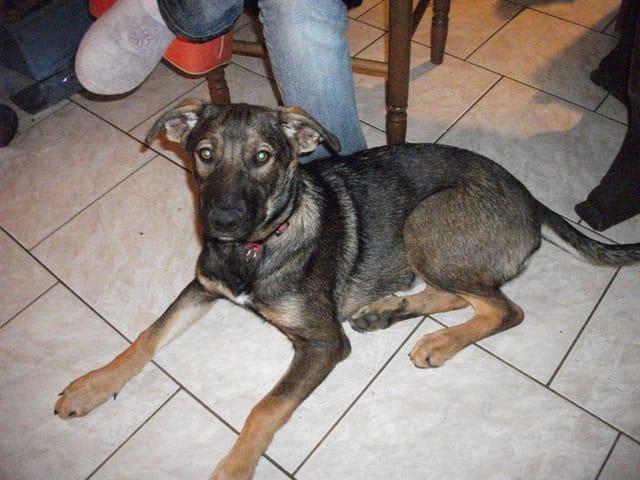 Donne contre bons soins