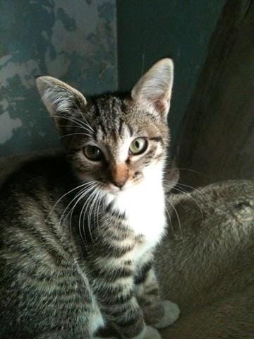 Notre petite nouvelle