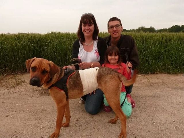 A votre avis, de quels mélanges de races est ma chienne