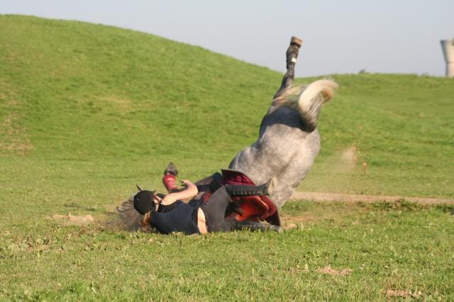 Quel animal n'aimez-vous pas?