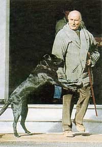 Les plus célèbre chiens.